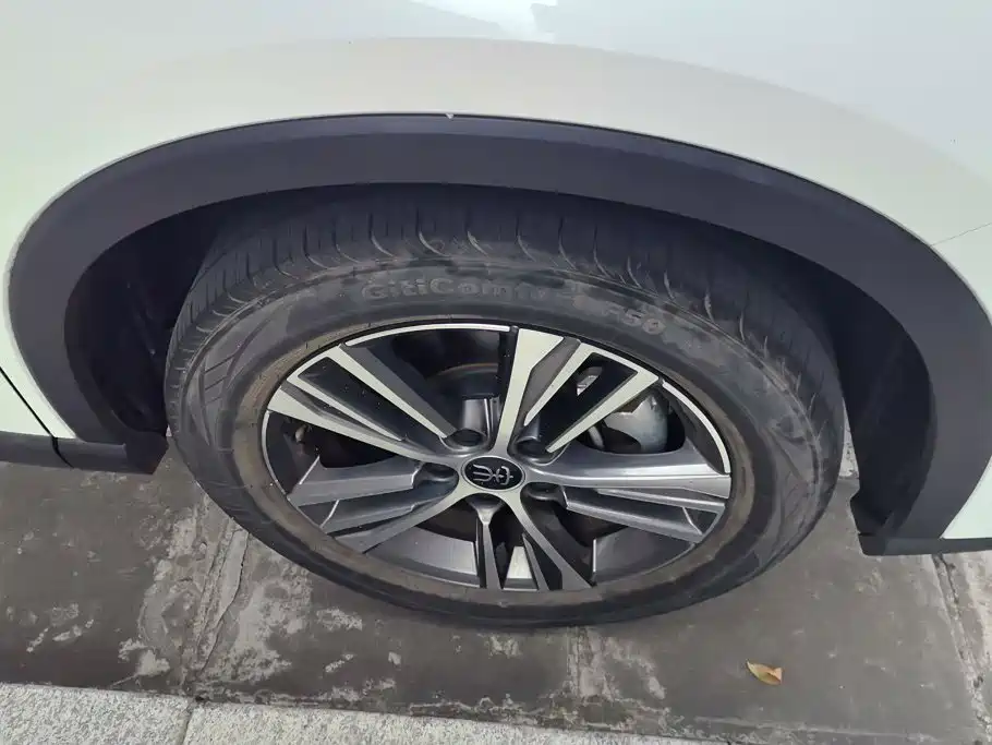 BYD Pro New Energy — миниатюра 6