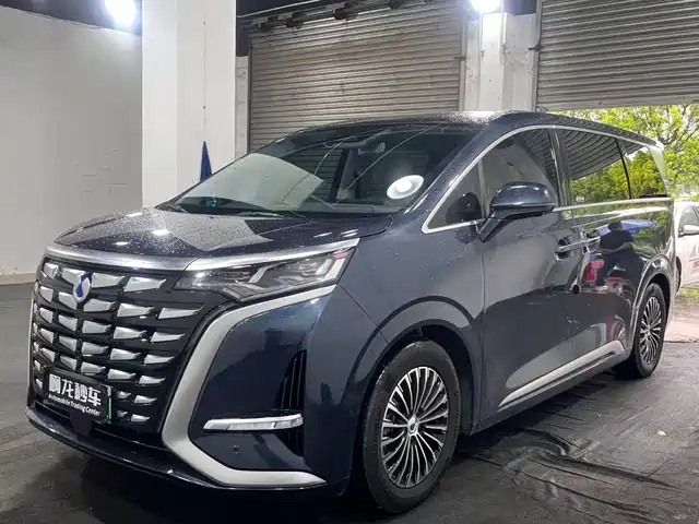 2024 Denza D9