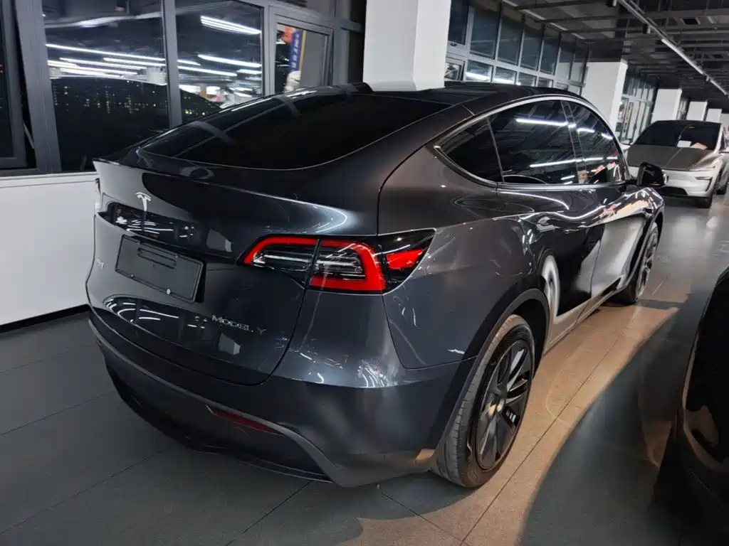 Tesla Model Y — миниатюра 7