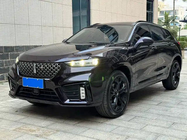 2019 Wey VV7