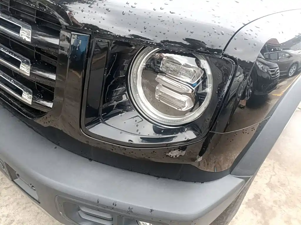 Haval Big Dog — миниатюра 24