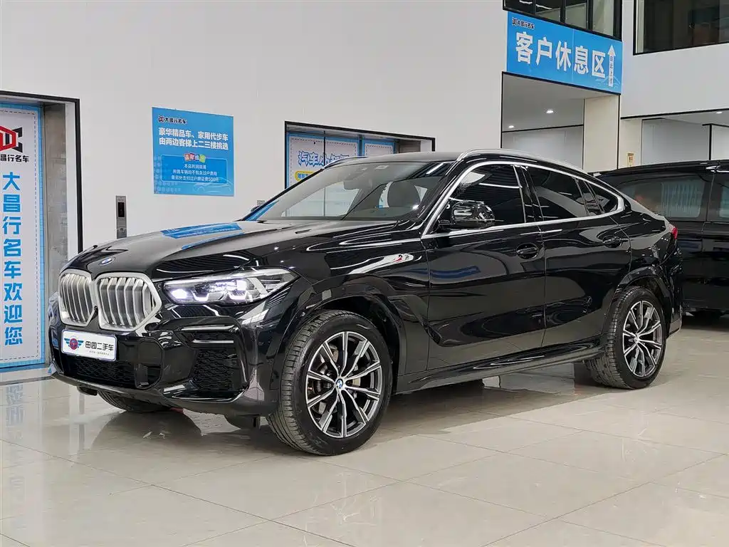 BMW X6