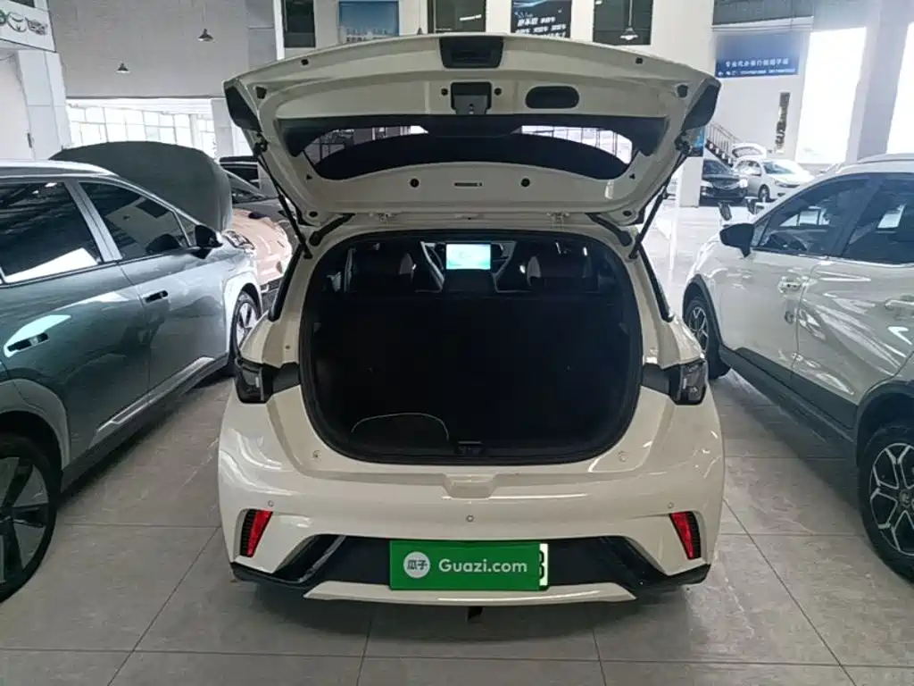 BYD Dolphin — миниатюра 19