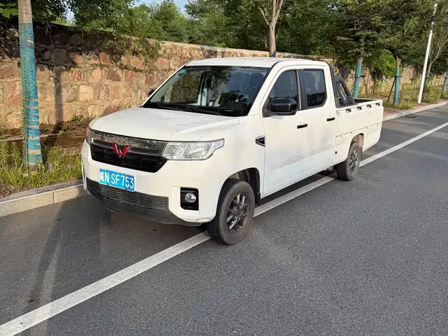2021 Wuling Motors Zhengtu