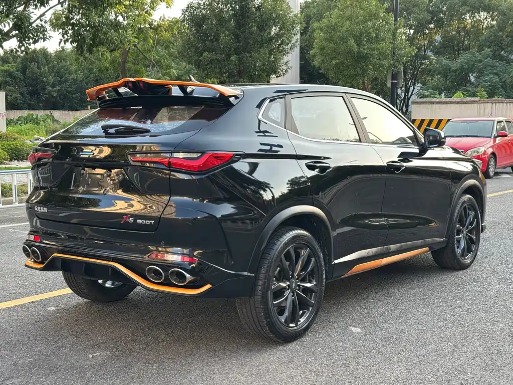 Oshan Oushang X5 — миниатюра 9