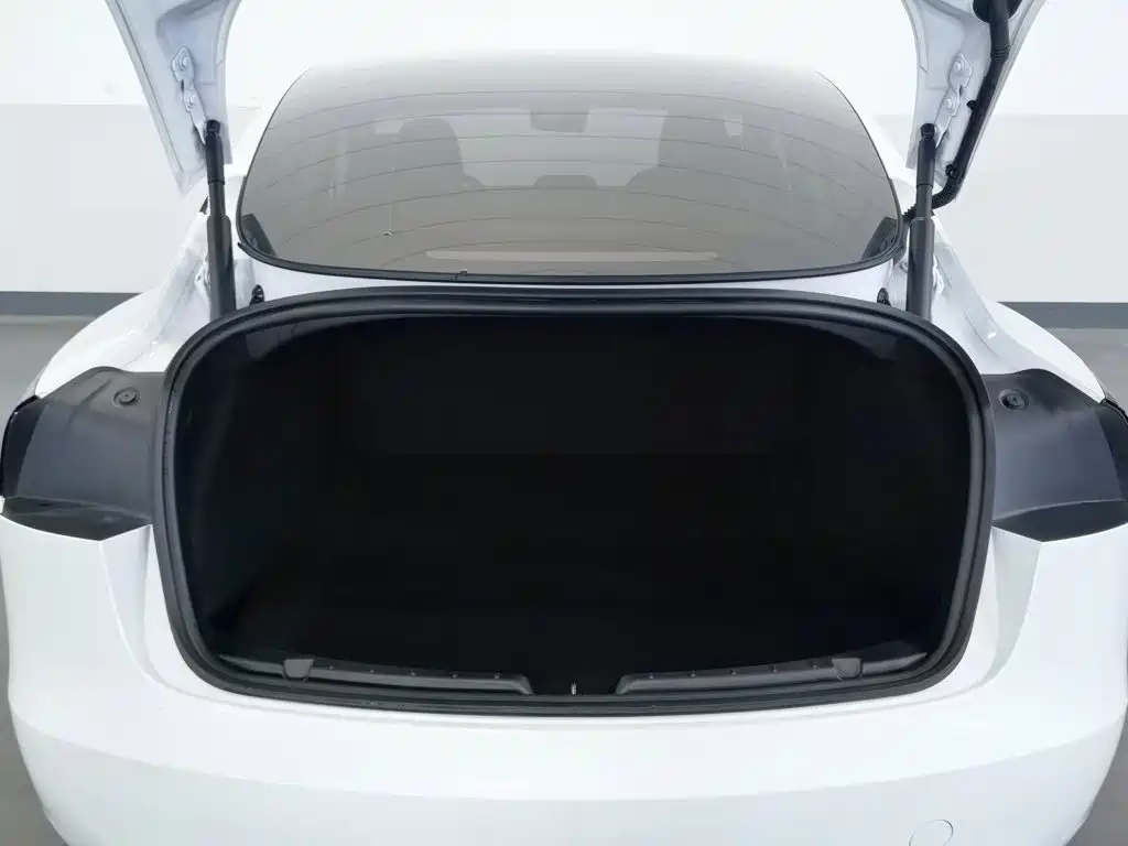 Tesla Model 3 — миниатюра 16