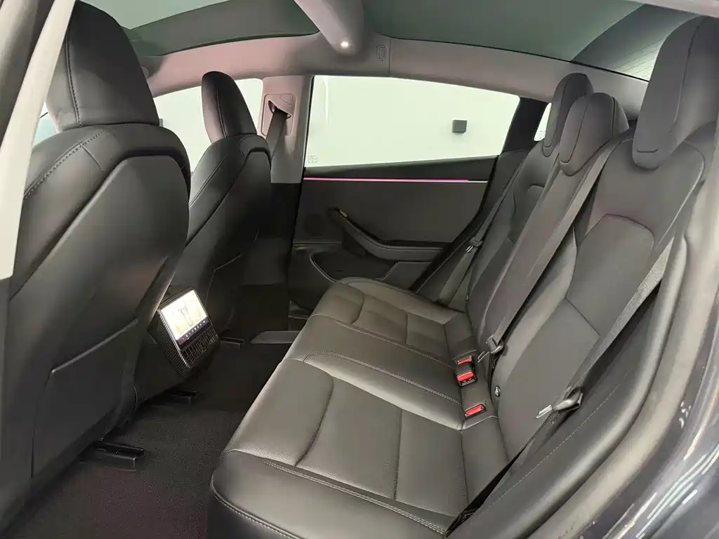 Tesla Model 3 — миниатюра 6