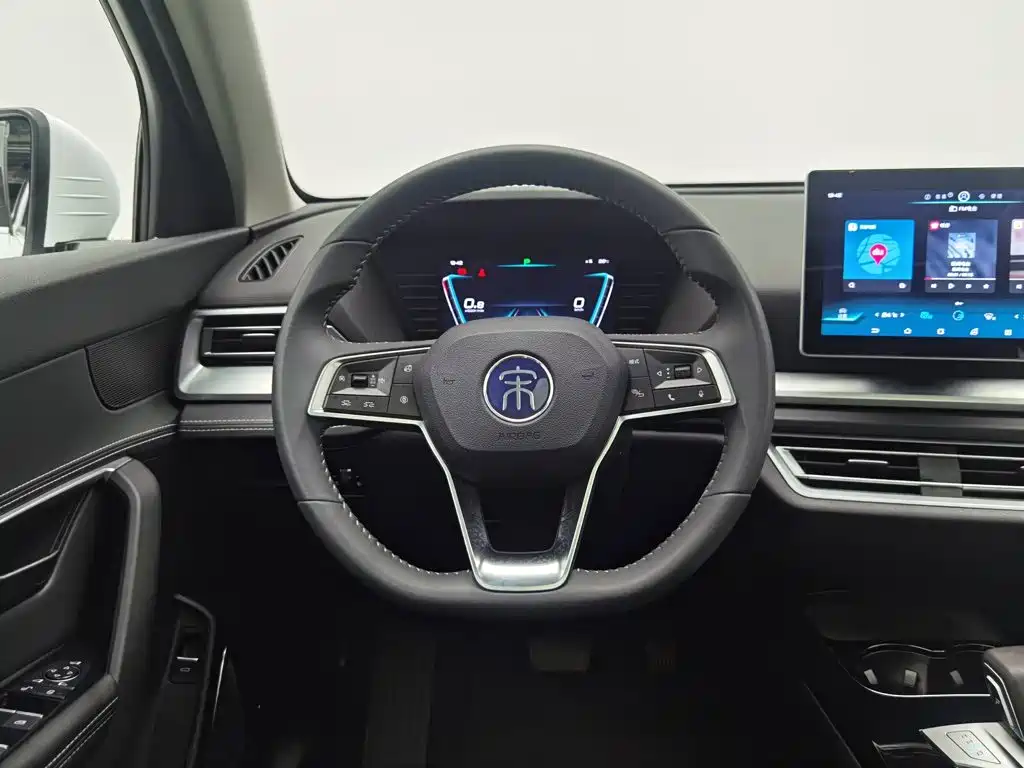 BYD Pro — миниатюра 11