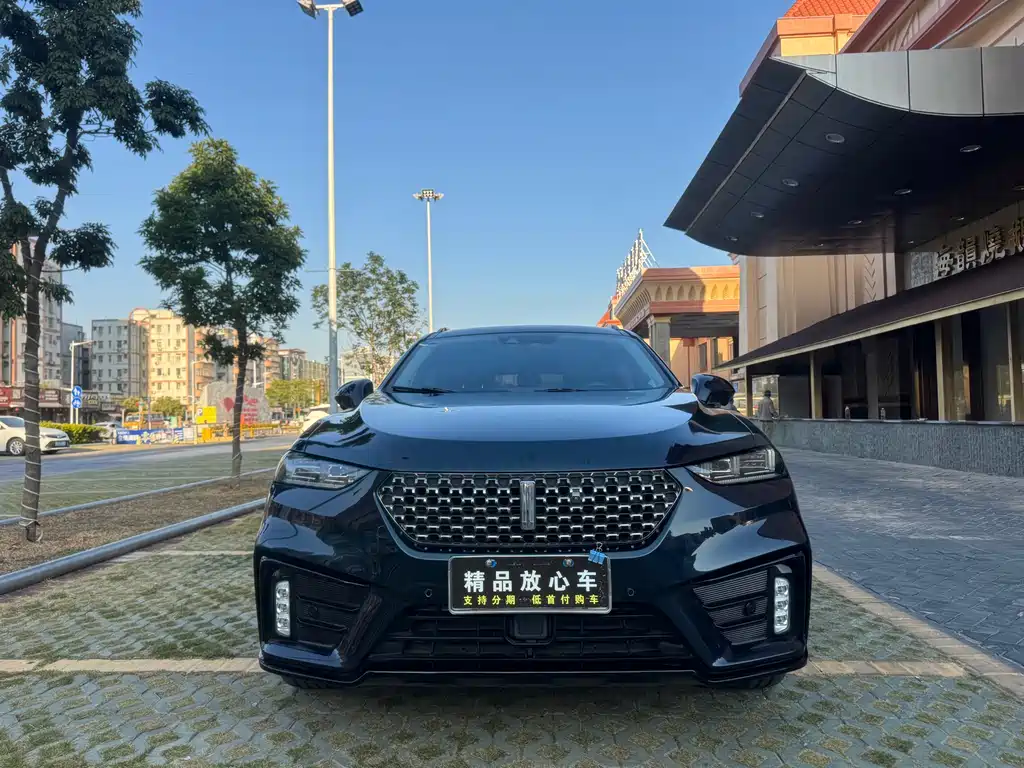 WEI PAI WEI BRAND VV7