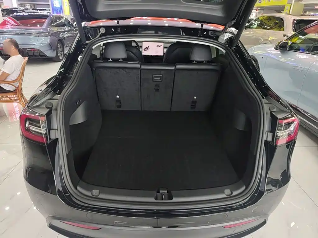 Tesla Model Y — миниатюра 19