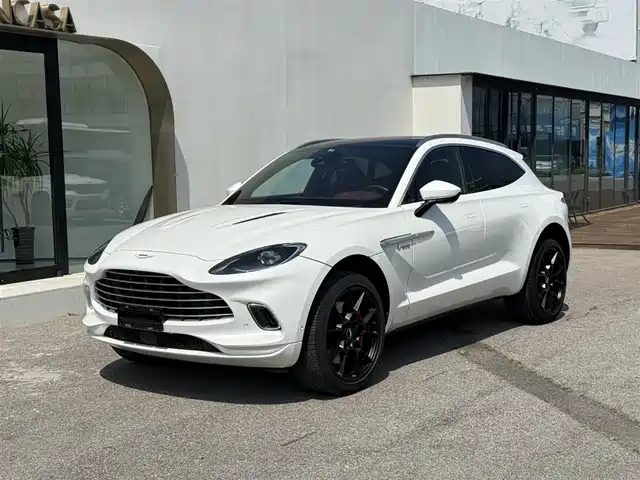 Aston Martin DBX 2020 4.0 T V 8 1913 — фото 1