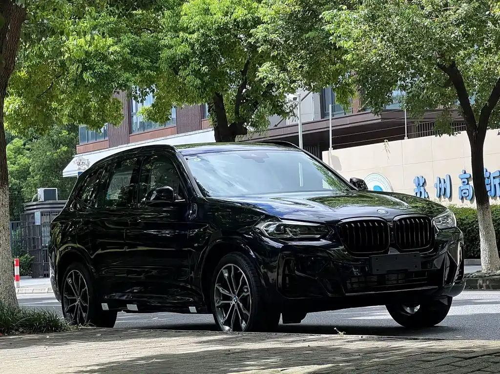 BMW X3 2023 xDrive30i Lead M