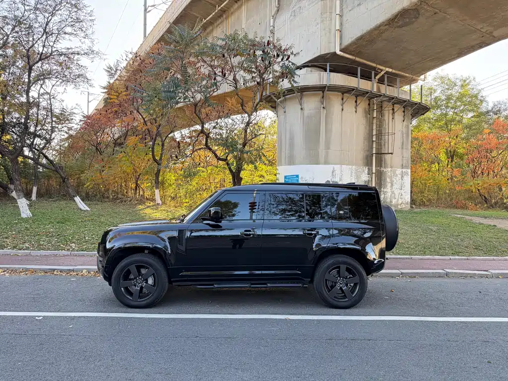 Land Rover Defender — миниатюра 3