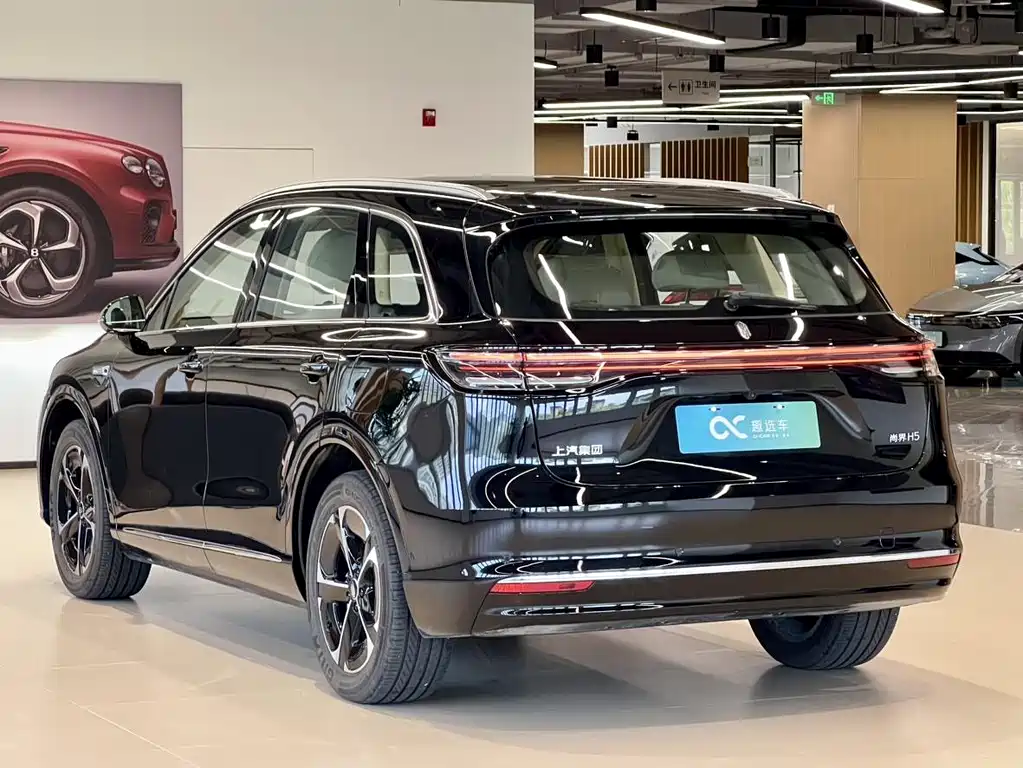 Сангтан Sangtang H5 — миниатюра 5