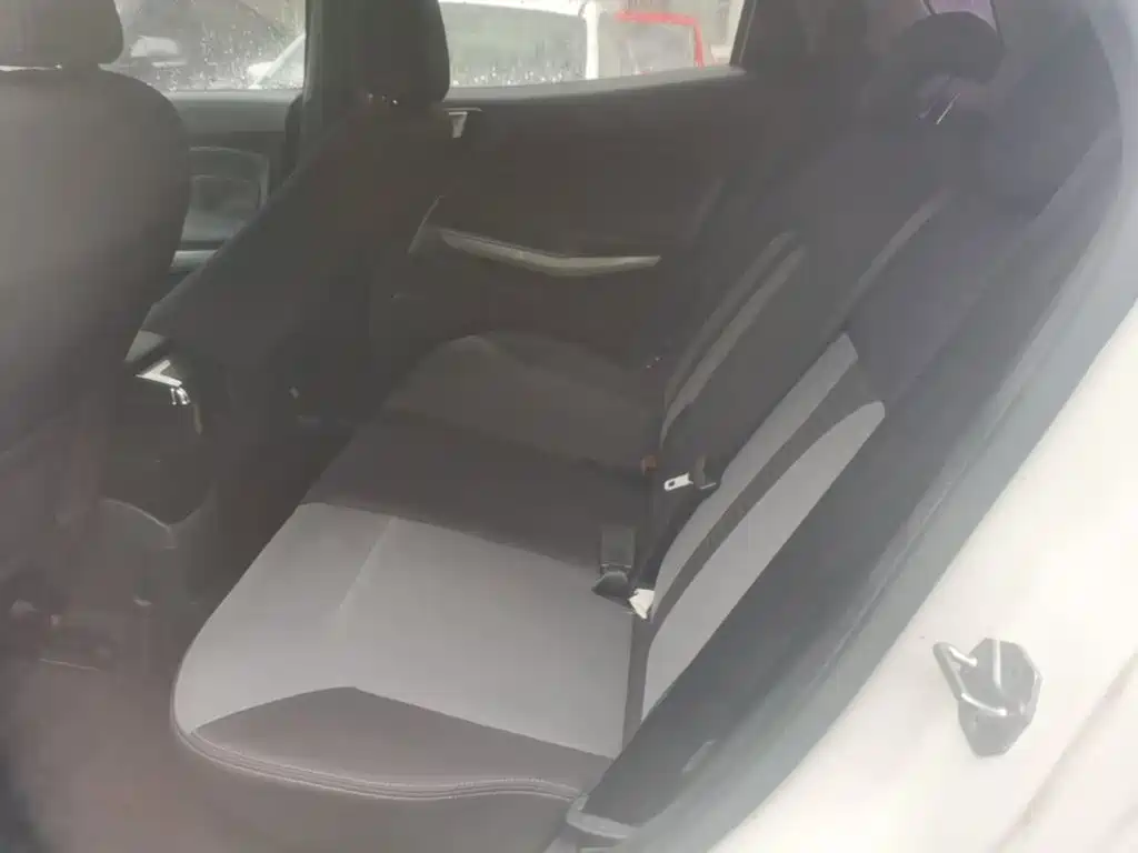 Ford Ecosport — миниатюра 17