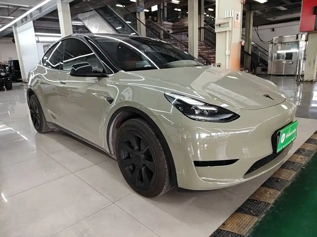 Tesla Model Y — миниатюра 4