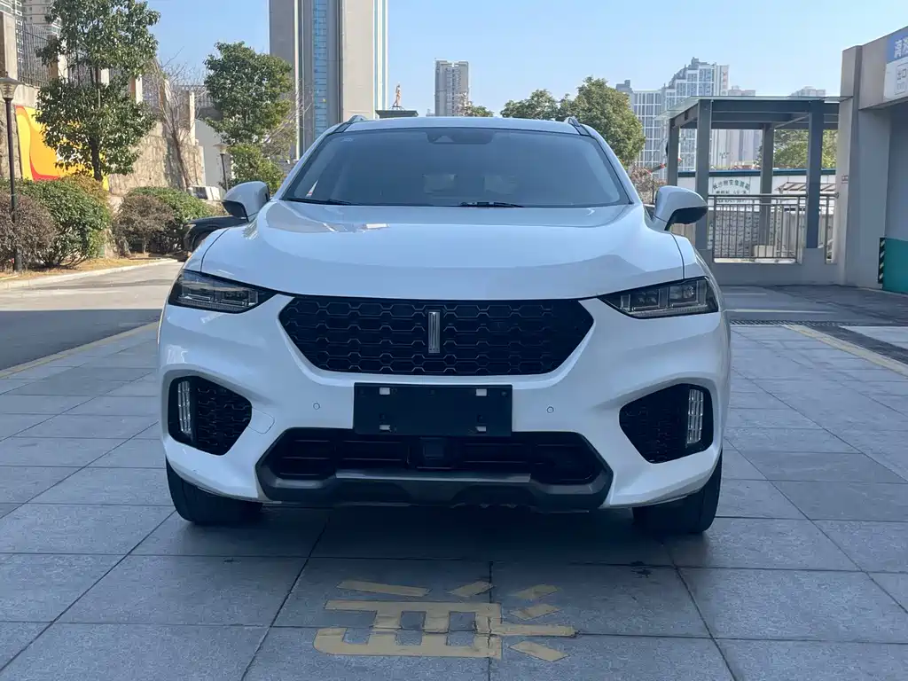 WEI PAI WEI BRAND VV7