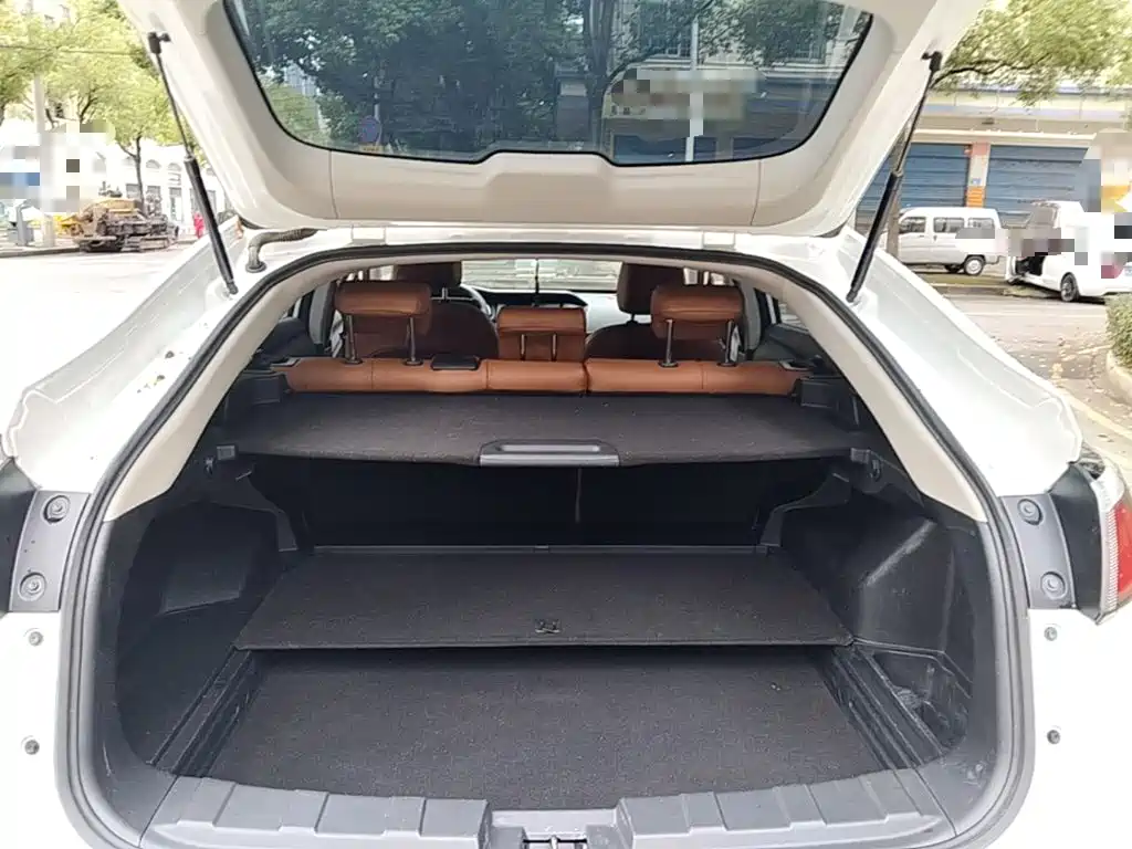Venucia T90 — миниатюра 19