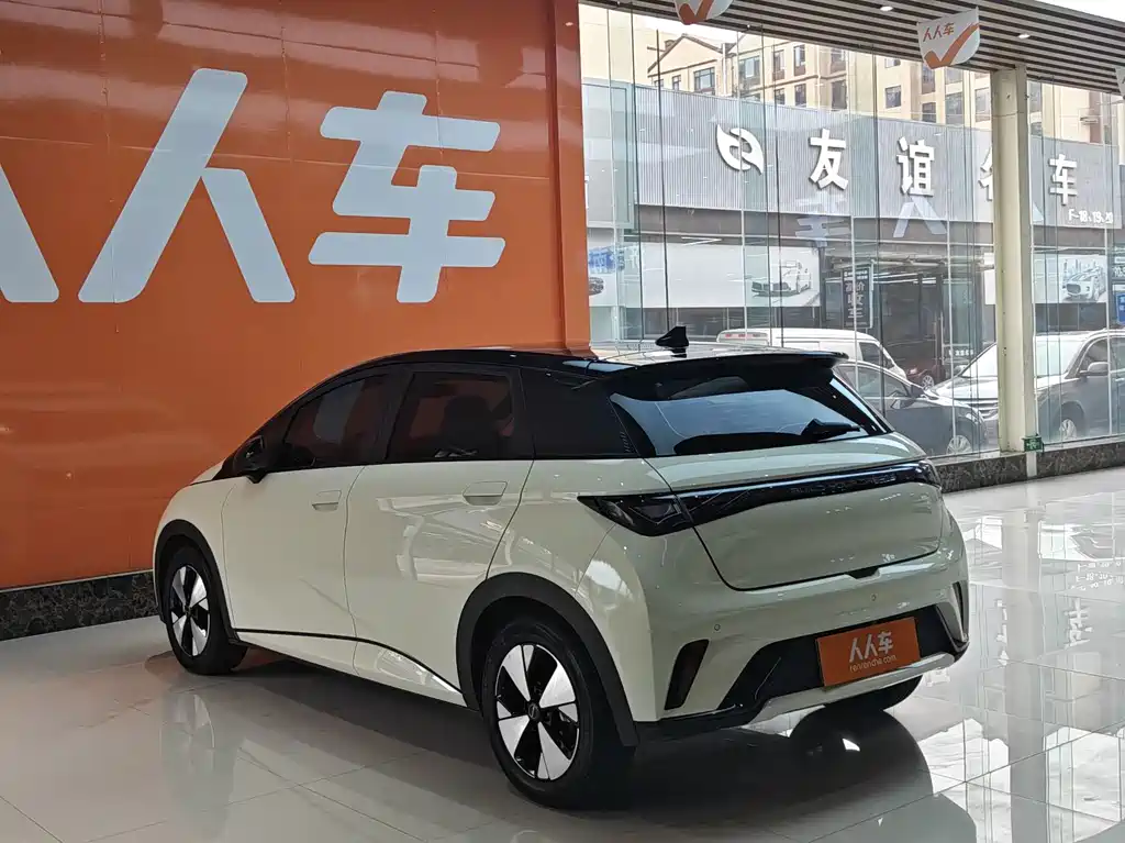 BYD Dolphin — миниатюра 6