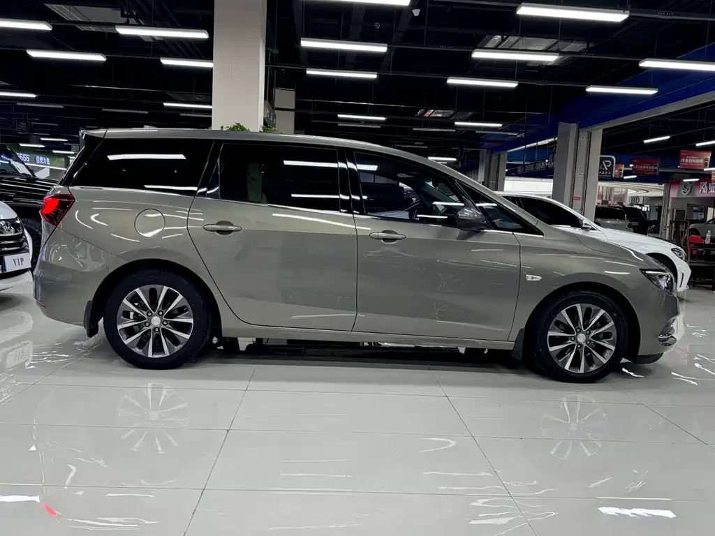 Buick GL6 — миниатюра 8