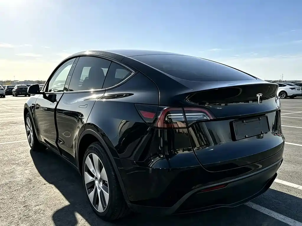 Tesla Model Y — миниатюра 5