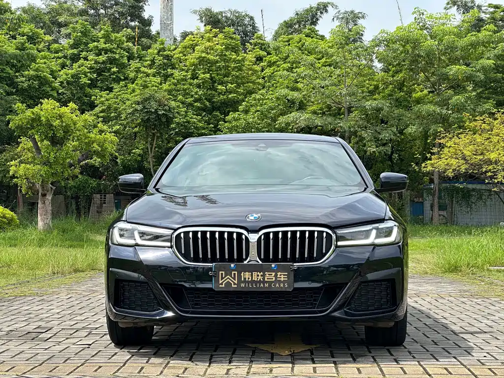 BMW 5 Series — миниатюра 2