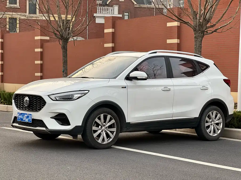Mg ZS 2021