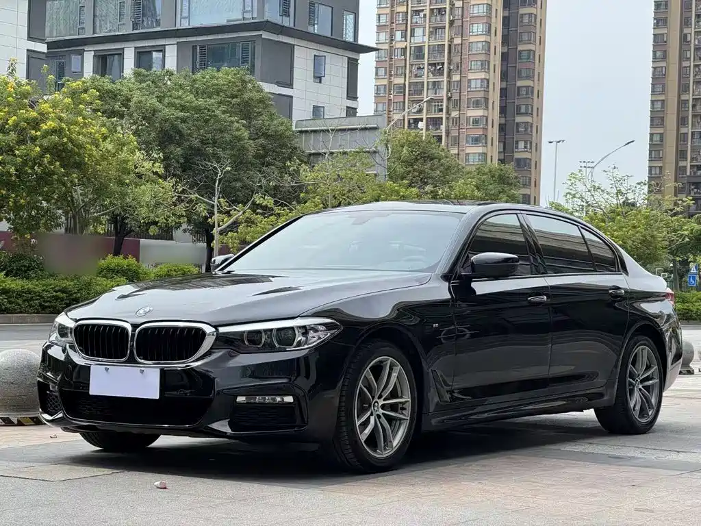 BMW 5 Series — миниатюра 3