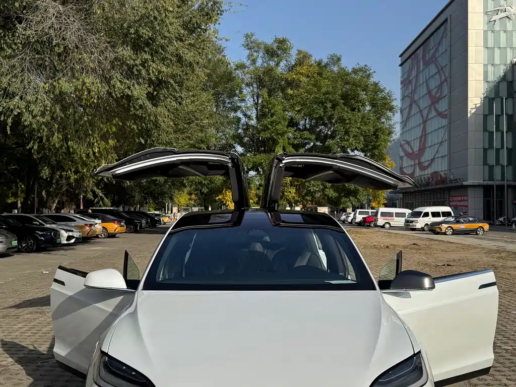 Tesla Model X — миниатюра 8