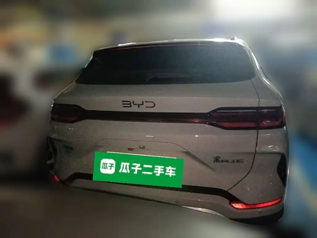 BYD PLUS New Energy — миниатюра 3