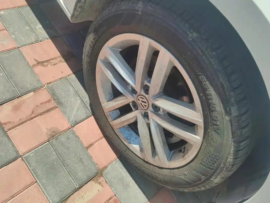 Volkswagen Gran Lavida — миниатюра 6