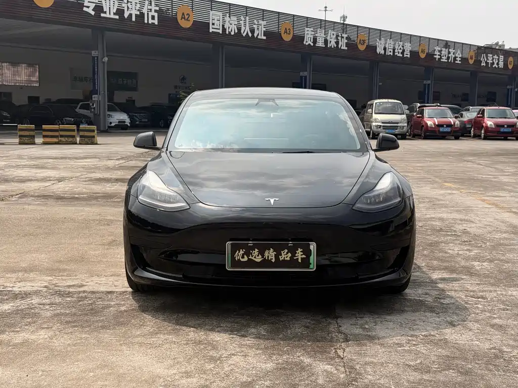 Tesla Model 3 — миниатюра 2