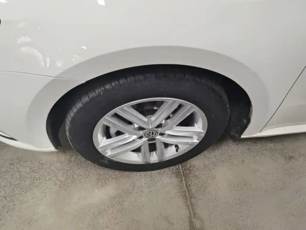 Volkswagen Gran Lavida — миниатюра 23