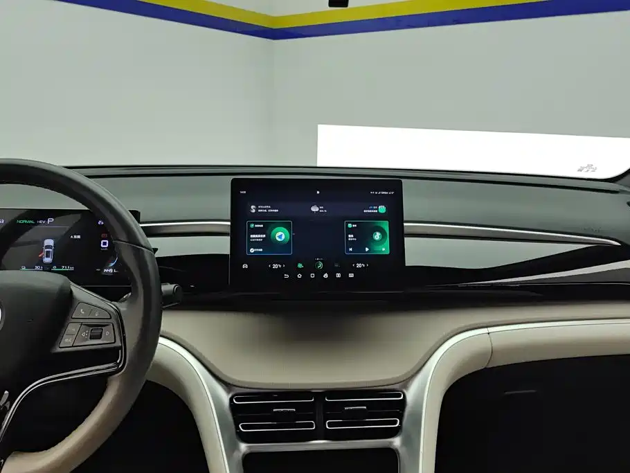 BYD Pro New Energy — миниатюра 13