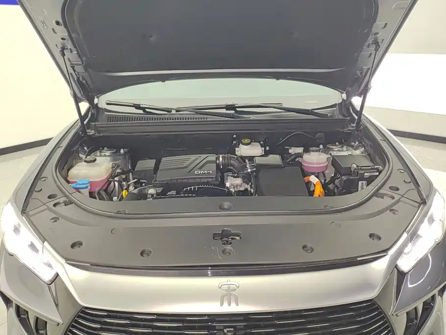 BYD Pro New Energy — миниатюра 10