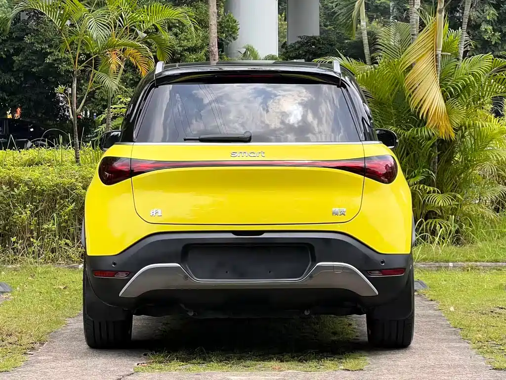 smart Smart #1 — миниатюра 6
