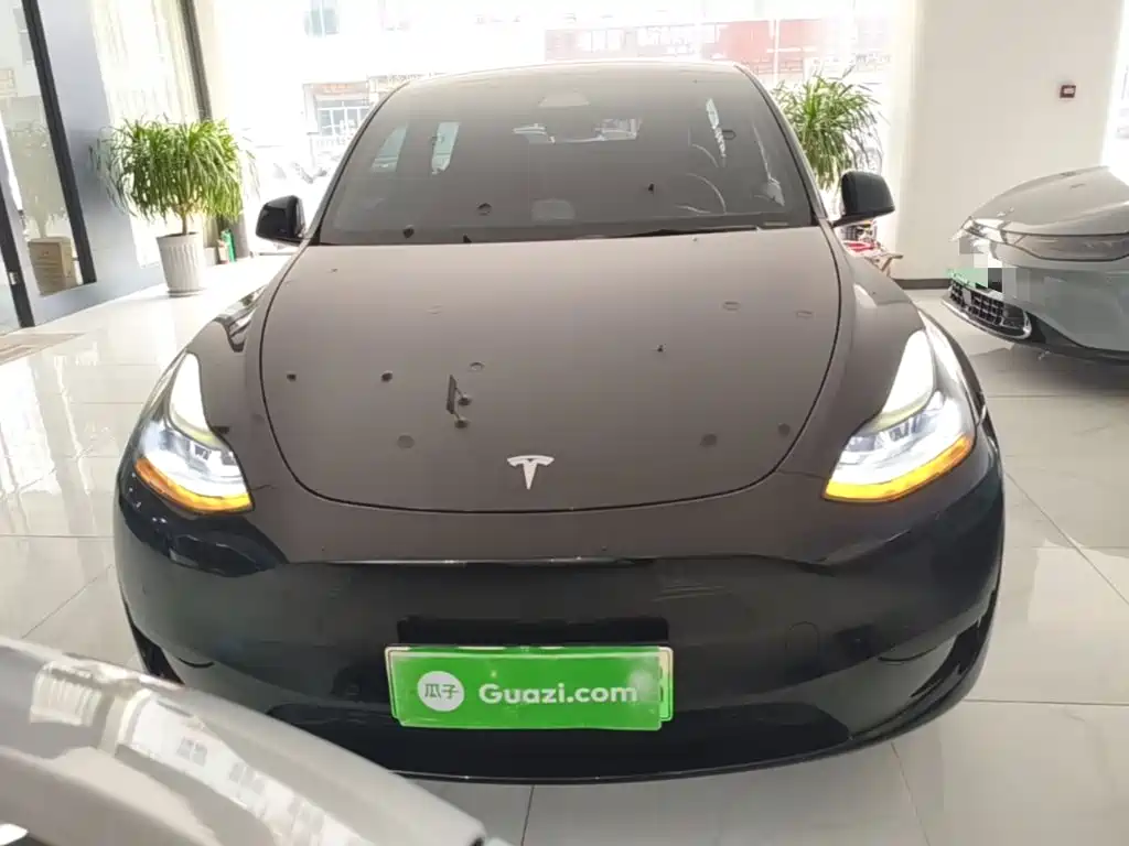 Tesla Model Y — миниатюра 3