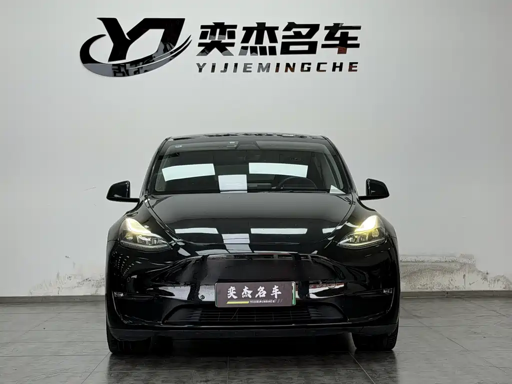 Tesla Model Y — миниатюра 2
