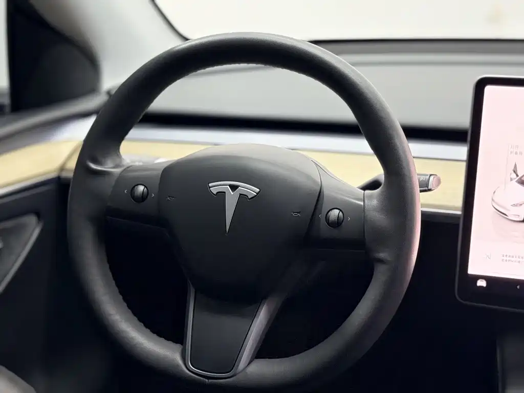 Tesla Model Y — миниатюра 7