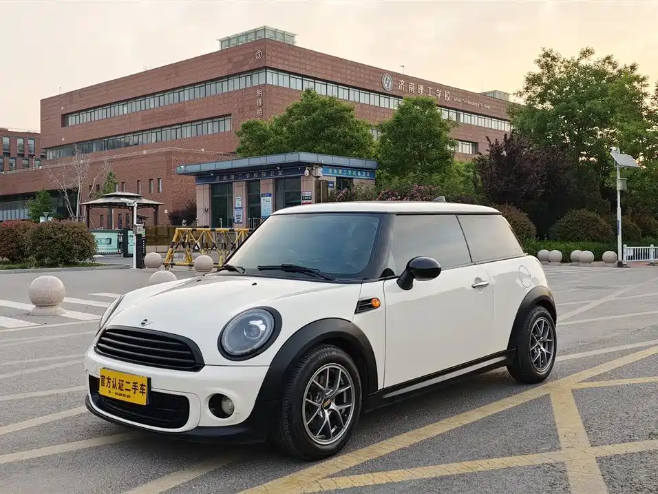 Mini Mini 2013