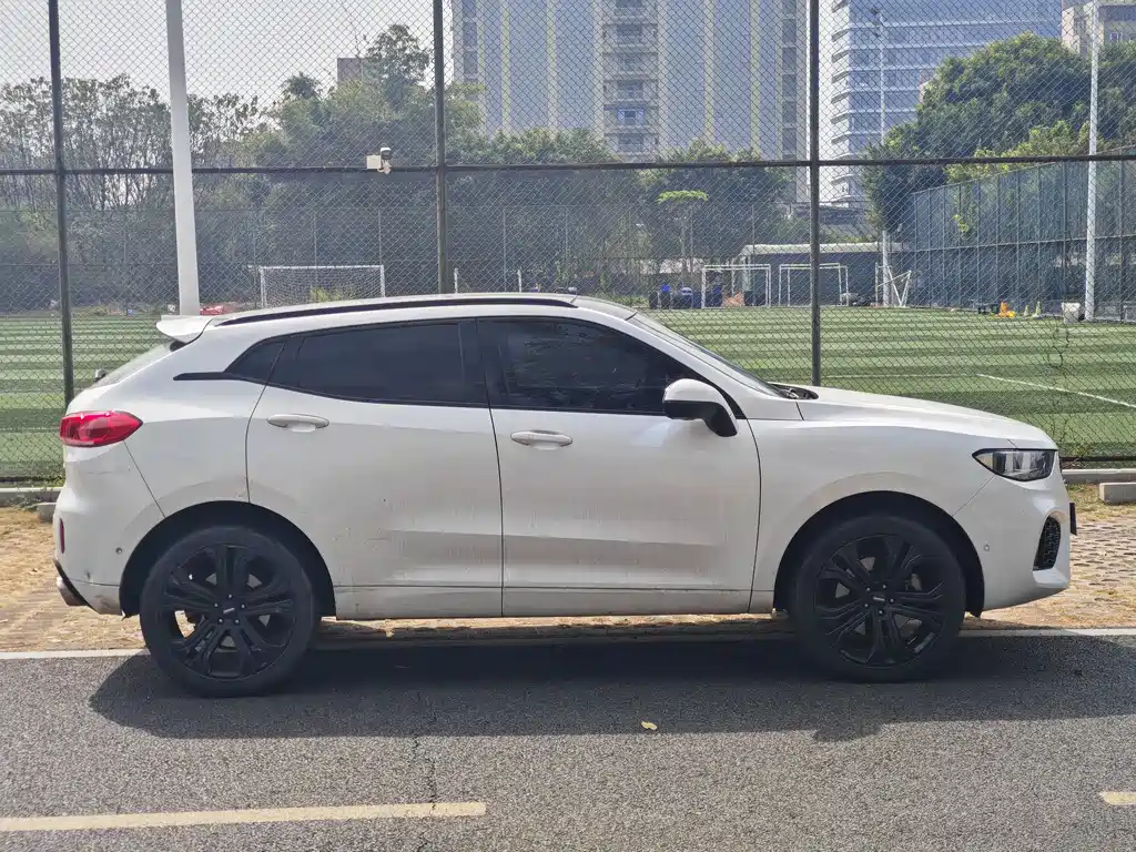 WEI PAI WEI BRAND VV5