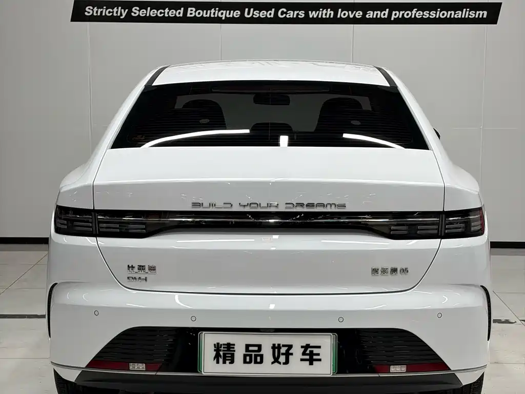 BYD Destroyer 05 2024 DM-i 55KM Luxury