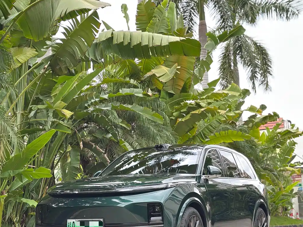 Li Auto Li L9 — миниатюра 6