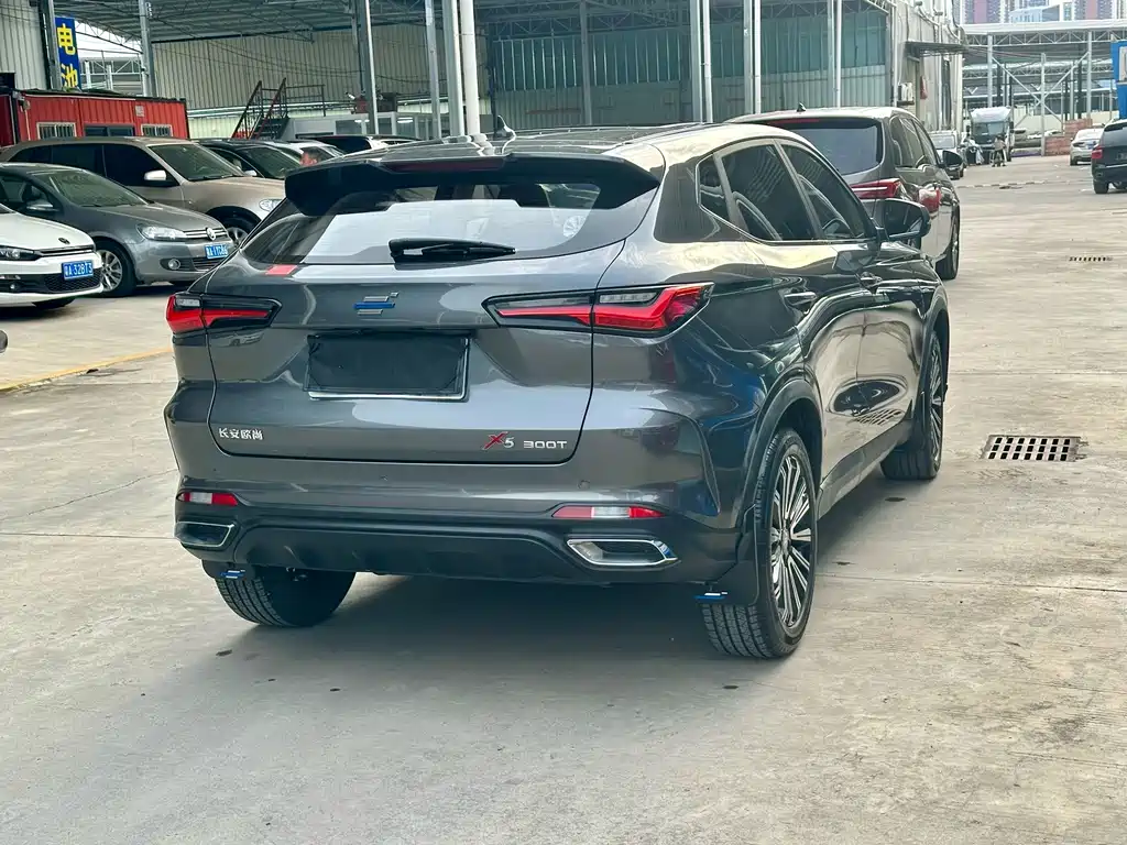 Oshan Oushang X5 — миниатюра 4