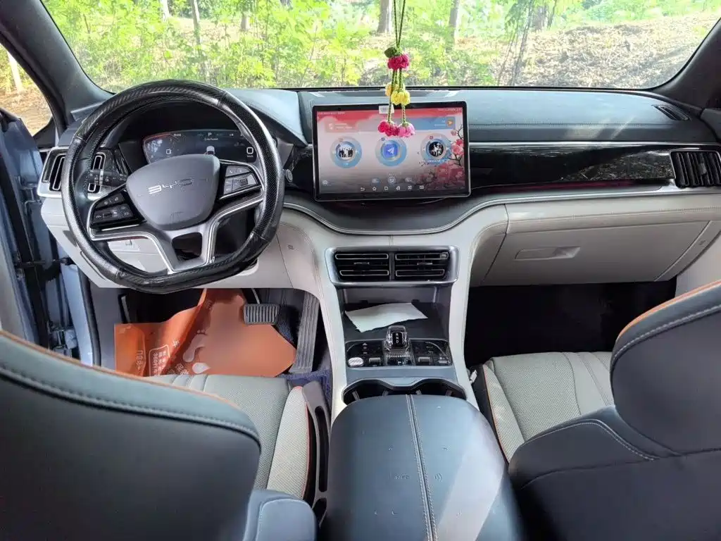 BYD PLUS New Energy — миниатюра 13