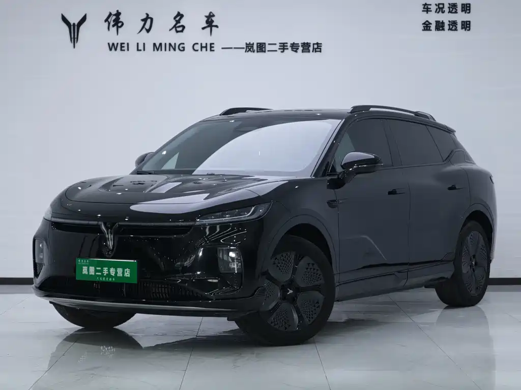Voyah Zhiyin 2025
