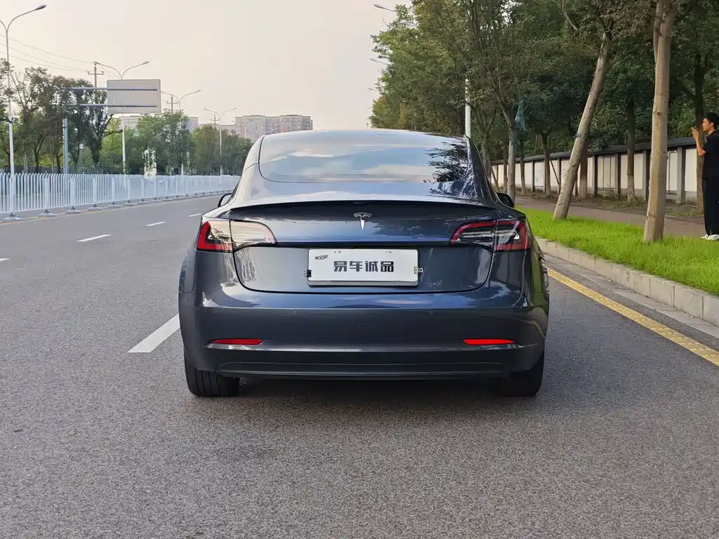 Tesla Model 3 — миниатюра 3