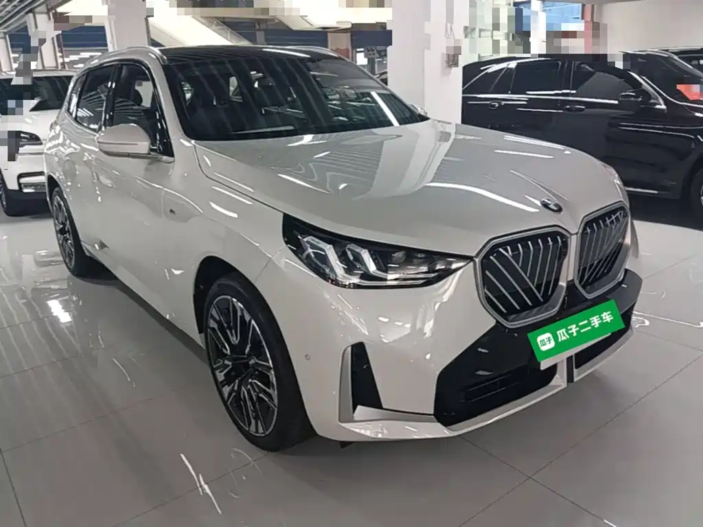 BMW X3 — миниатюра 4