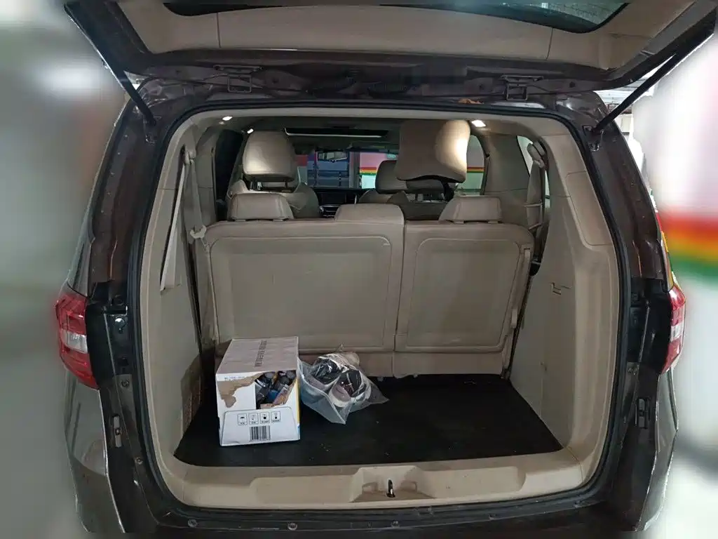Buick GL8 — миниатюра 10