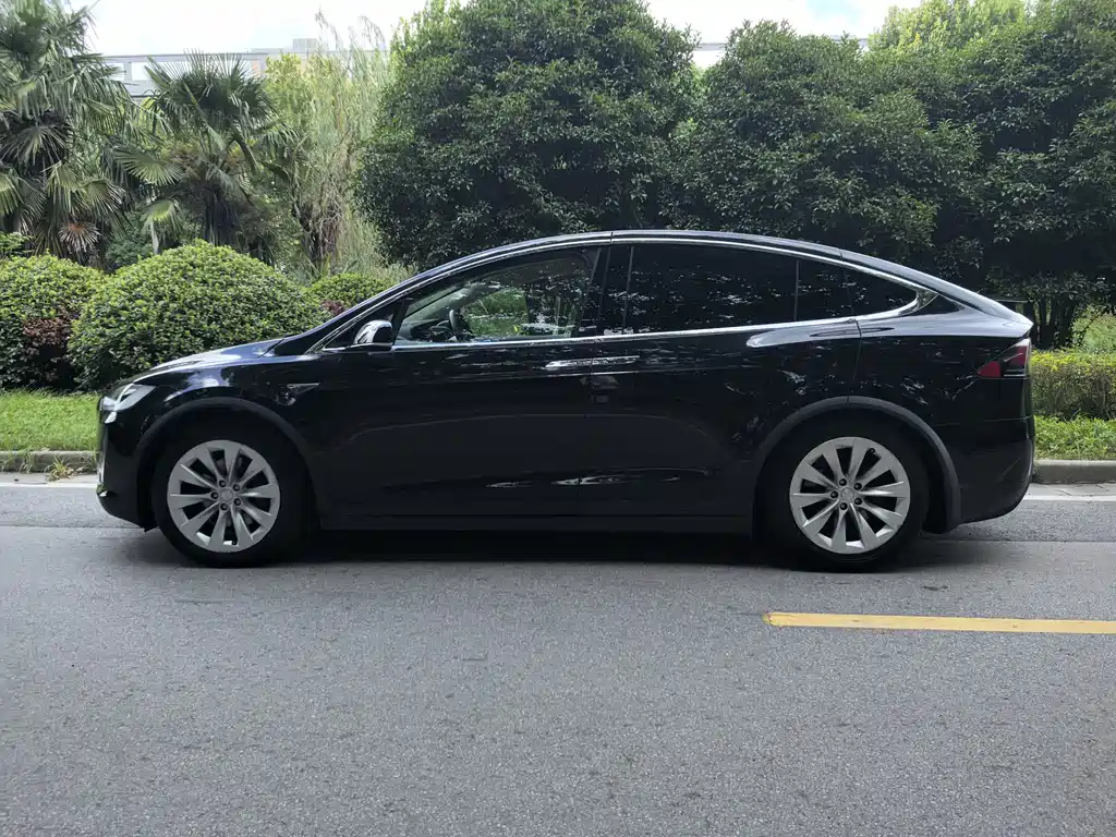 Tesla Model X — миниатюра 4